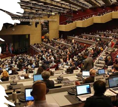 Nigeria’s Role in Global Plastic Conferences and the Challenge of Implementing EPR Act Recommendations